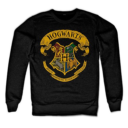 harry-potter-pullover-854fzc-1.jpg