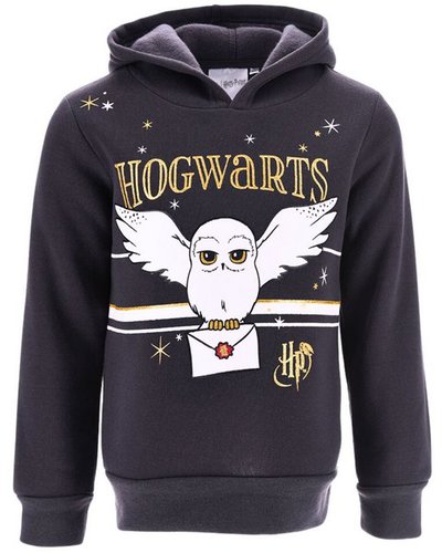harry-potter-pullover-993ckj-1.jpg