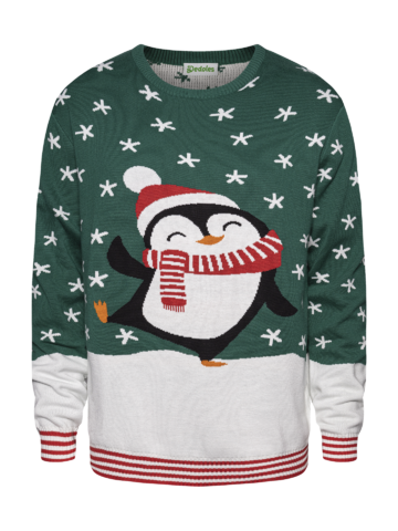 winterpullover-188huu.png